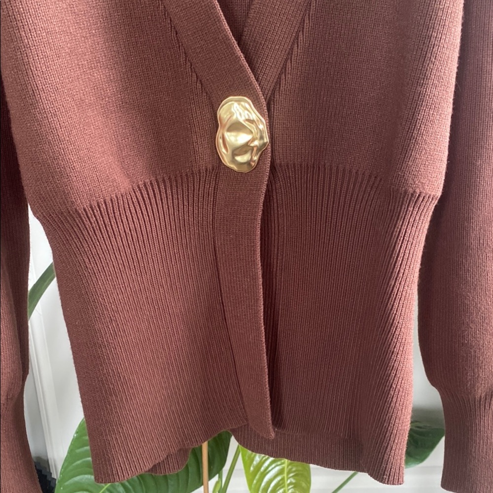 NWOT Brown V-Neck Sweater with Gold Button - Picture 5 of 9